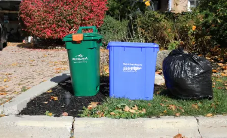 Variety of garbage cans on a lawn, by the curb